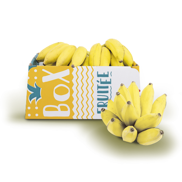 Box bananes