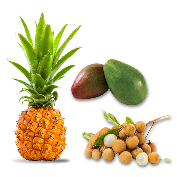 Avocat-Ananas-Longanis