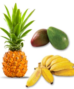 Avocat-Ananas-Banane