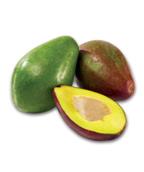 Avocats de La Réunion