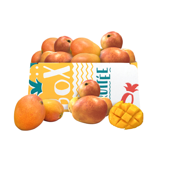 mangue