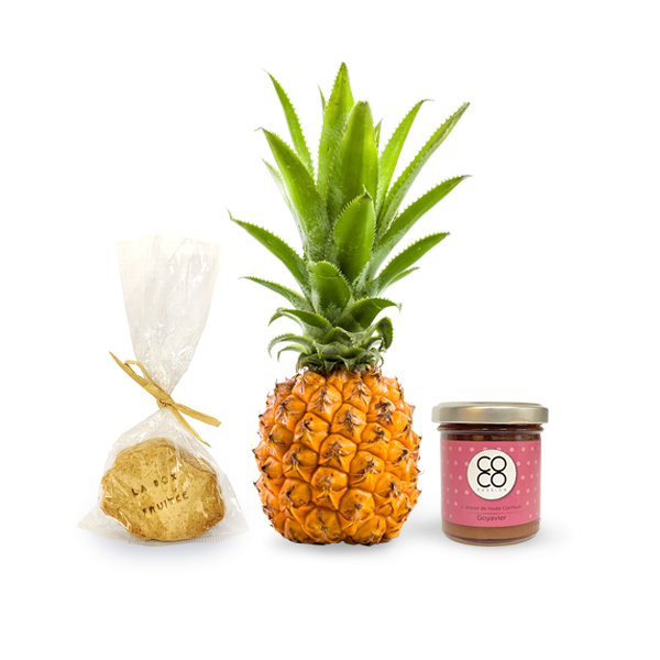 fruits-ananas-en-folie-2022-pour-site